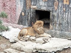 -大连森林动物园