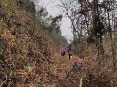 -青龙山国家森林公园