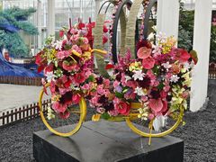 -上海鲜花港