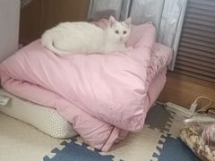 -美联众合24小时·皮肤科·外科·全科诊疗中心(华苑分院)