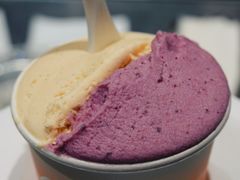 -Dip in Gelato(富民路店)