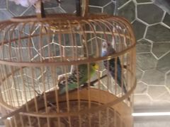 -蓝鲸湾汤泉(包河店)