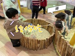-七巧国萌宠乐园(龙湖天街店)
