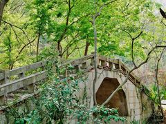 -青龙山国家森林公园