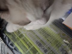 -宠福鑫动物医院(望京分院)