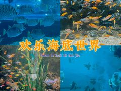 -重庆欢乐海底世界
