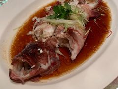 东星斑清蒸-8餐厅(新葡京酒店)