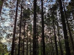 -萍乡武功山风景名胜区