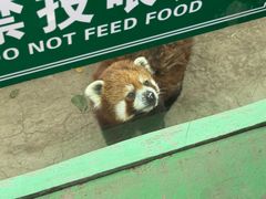 -五龙山野生动物王国