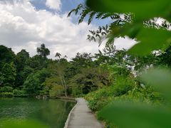 -新加坡植物园