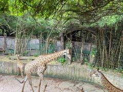 -长鹿旅游休博园