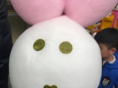 -白塘生态植物园