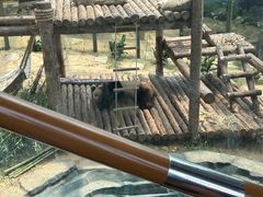 -大连森林动物园