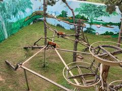 -西霞口神雕山野生动物世界