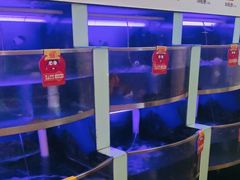 -七欣天(浦东羽山乐坊店)