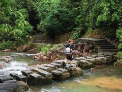 -广州白江湖森林公园