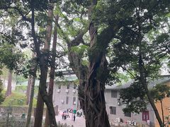 -南华禅寺