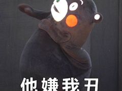 -新视界宝迪国际影城