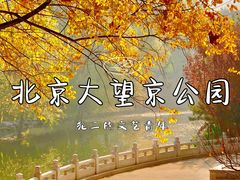 -大望京公园