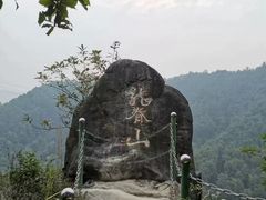 -南山植物园