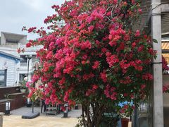 -马大胡子清真西北菜