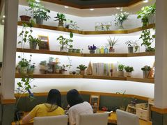 大堂-十二舍·湯物素煮(江泰潤政店)