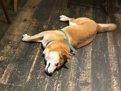 -三目仓咖啡(贤南路店)