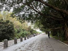 -福田红树林生态公园