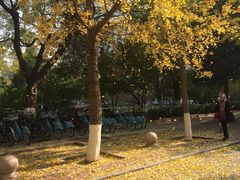 -北京化工大学(东校区)