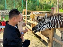 -水上乐园·欢乐世界