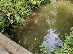 -成都杜甫草堂博物馆