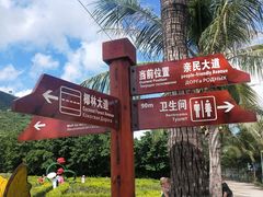 -亚龙湾国际玫瑰谷