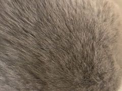 -猫友咖啡店(玉林西路店)