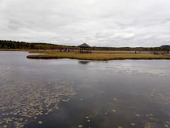 -塞罕坝国家级自然保护区