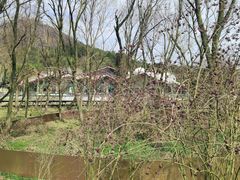 -西湖风景区-江洋畈生态公园