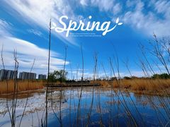 -大兴滨河森林公园