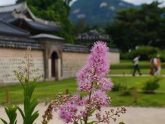 -景福宫