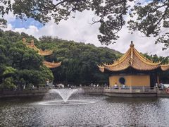 -普陀山风景名胜区-法雨禅寺