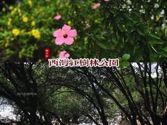 -宝安西湾红树林湿地公园