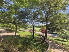 -北京西山国家森林公园