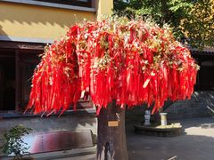 -灵谷景区