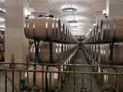-北京张裕爱斐堡酒庄
