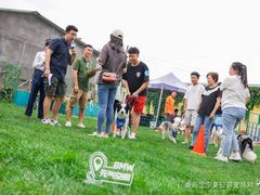 -趣玩宠物乐园寄养训犬训狗游泳池