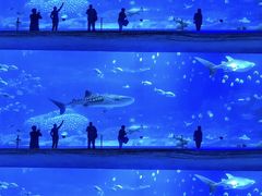 -珠海长隆海洋王国