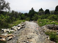 -北京西山国家森林公园