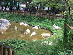 -昆明动物园
