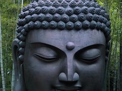 -杭州植物园