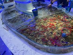 -澜悦港海鲜体验主题餐厅