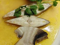 -骏莱海鲜鱼港(五角场店)