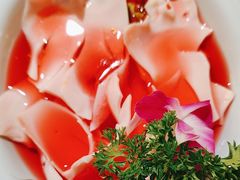 -蜀九香火锅(彩虹店)